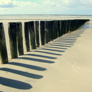 Murs commerciaux Berck Plage