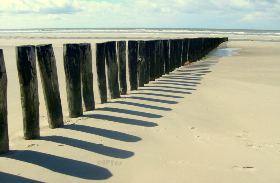 Murs commerciaux Berck Plage