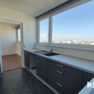 LILLE SAINT-MAUR – APPARTEMENT TYPE 3 98m² AVEC CAVE ET BALCON