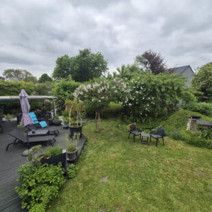 Maison plain pied  nieppe