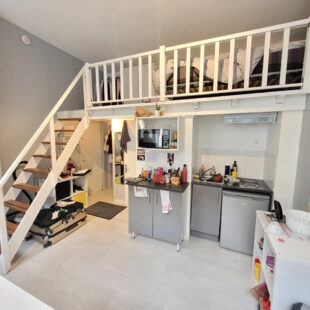 Appartement Lille 1 pièce(s)