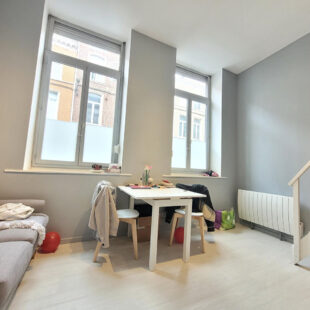 Appartement Lille 1 pièce(s)
