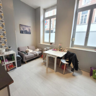 Appartement Lille 1 pièce(s)