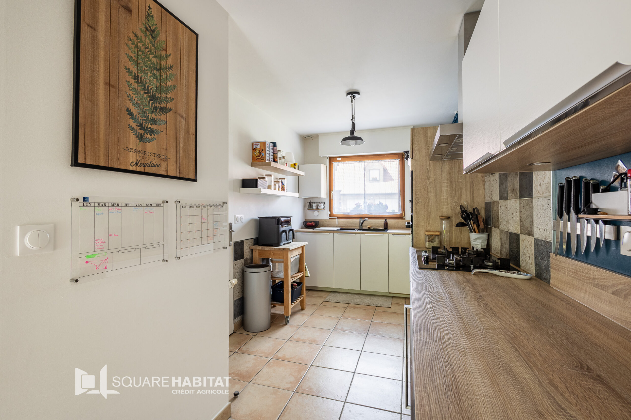 MAISON SEMIE-INDIVIDUELLE EN LOTISSEMENT – 3 CHAMBRES – GARAGE – JARDIN ORIENTÉ SUD