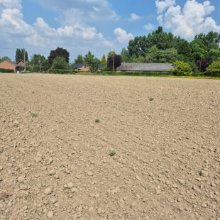 Terrain Auchy Les Orchies 1521 m2