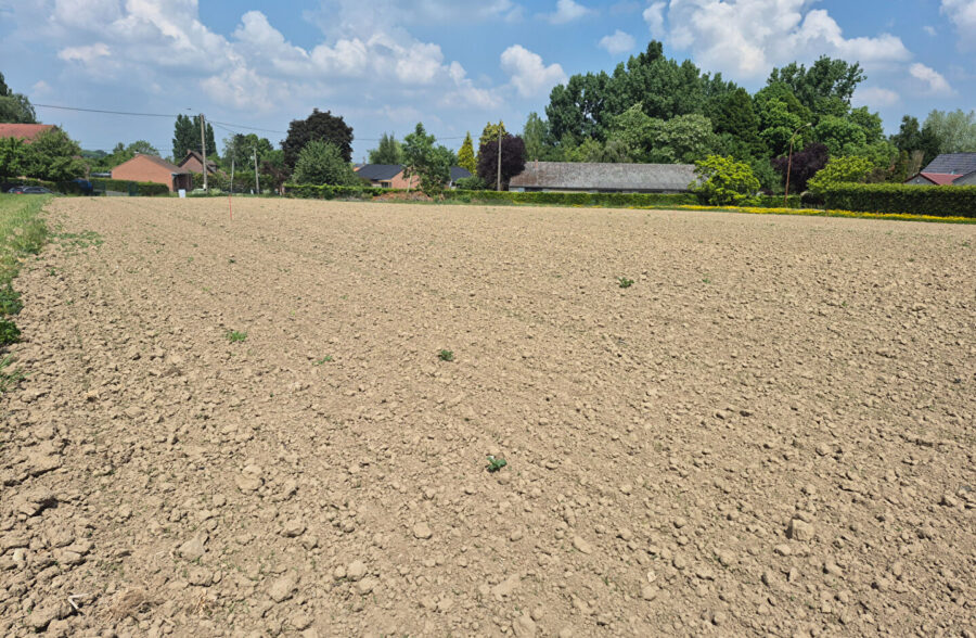 Terrain Auchy Les Orchies 1521 m2