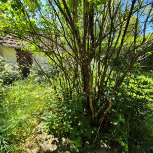 Maison Attin 115 m2