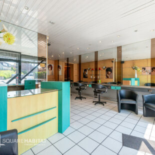immeuble de rapport local + appartement