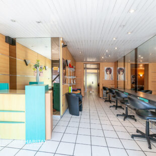 immeuble de rapport local + appartement