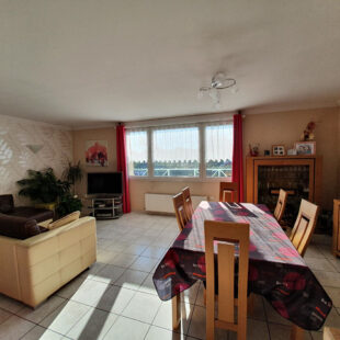 Appartement  T3 de 73 m2 + local commercial de 44 m² avec garage