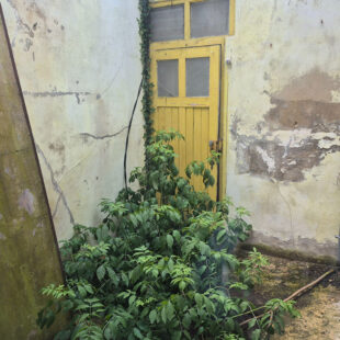 Maison Raismes 4 pièce(s) 90 m2
