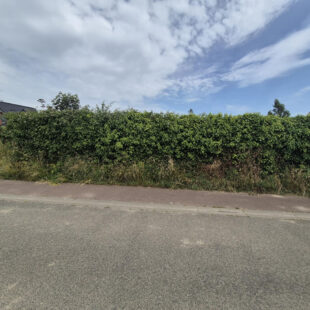Terrain Constructible-658m²-Wittes