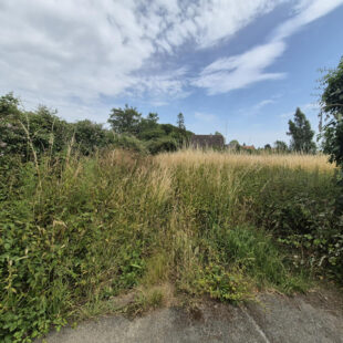 Terrain Constructible-658m²-Wittes