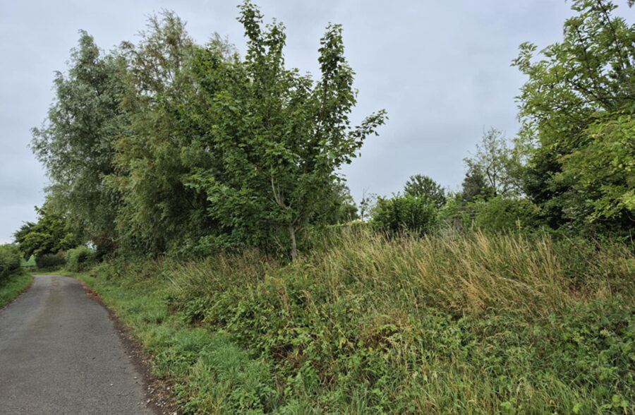 Belle opportunité de terrain à Hondeghem