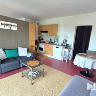 BOTANIQUE PROCHE TRAMWAY APPARTEMENT T1bis AVEC BALCON PARKING ET CAVE