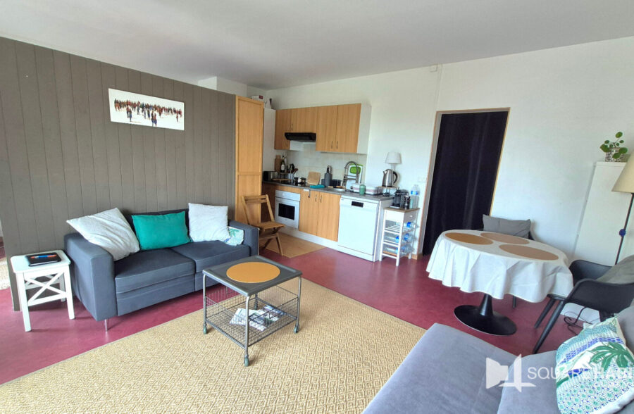 BOTANIQUE PROCHE TRAMWAY APPARTEMENT T1bis AVEC BALCON PARKING ET CAVE