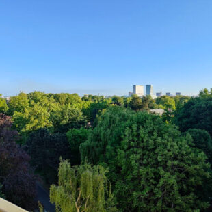 BOTANIQUE PROCHE TRAMWAY APPARTEMENT T1bis AVEC BALCON PARKING ET CAVE