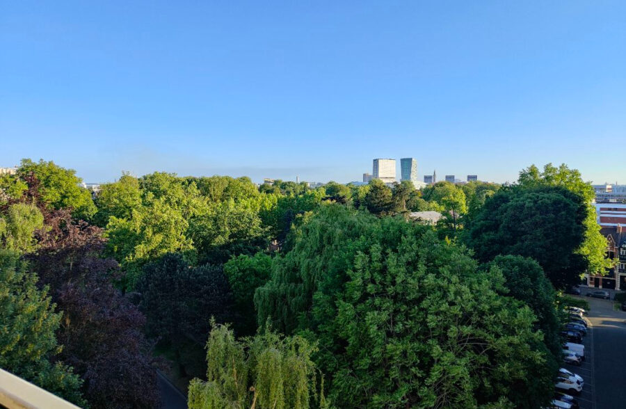 BOTANIQUE PROCHE TRAMWAY APPARTEMENT T1bis AVEC BALCON PARKING ET CAVE