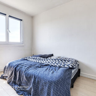 Appartement Villeneuve D Ascq 4 pièce(s)