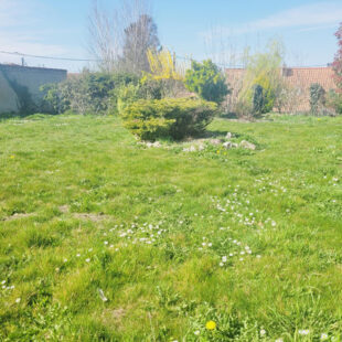 Maison Individuelle 176 m2 4 chambres Jardin Garage Ligny Les Aire