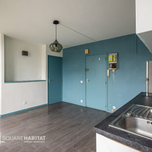 Appartement T2 lumineux à deux pas de la gare Lille Flandres