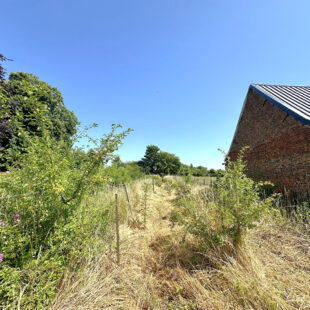 Maison plain pied Neuvilly + jardin