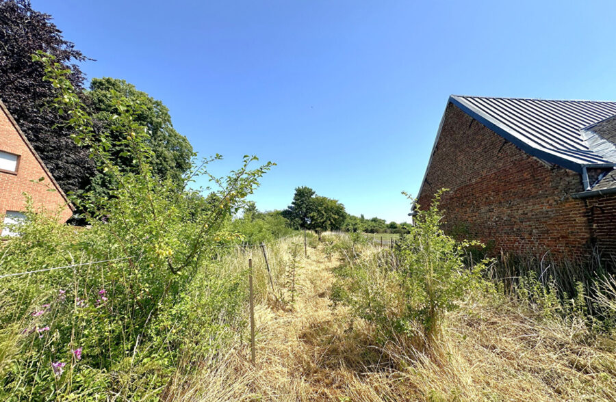 Maison plain pied Neuvilly + jardin