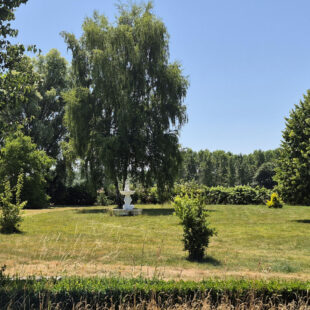 Terrain Raches 1067m²