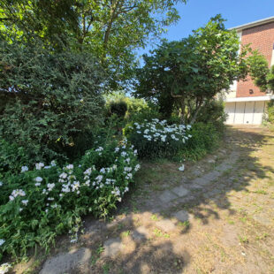 Maison Mons En Baroeul 5 pièce(s) 122 m2