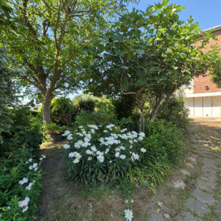 Maison Mons En Baroeul 5 pièce(s) 122 m2