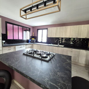 Maison Auberchicourt 6 pièce(s) 209 m2