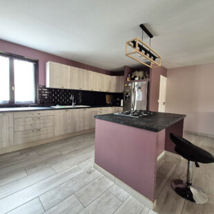 Maison Auberchicourt 6 pièce(s) 209 m2