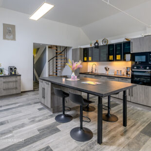 Loft Inchy 5 pièce(s) 162 m2