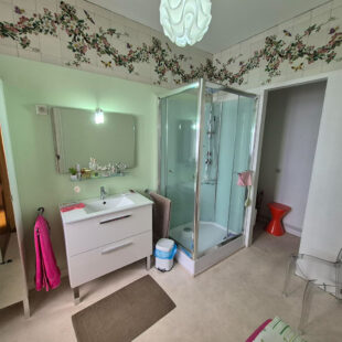 Maison Saint Amand Les Eaux
