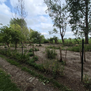Terrain d agrément Looberghe