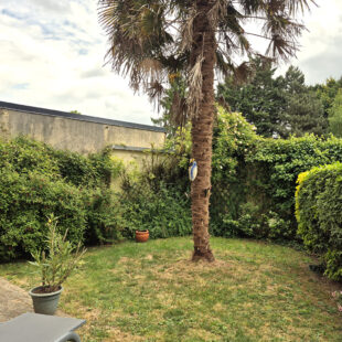 Appartement 78.22 m2