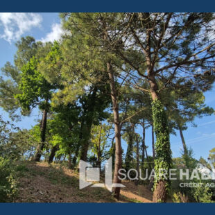 Appartement T2 Cabine  Stella Plage