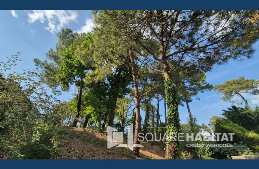 Appartement T2 Cabine  Stella Plage