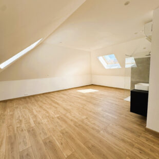 Halluin Maison entièrement rénovée 4 chambres