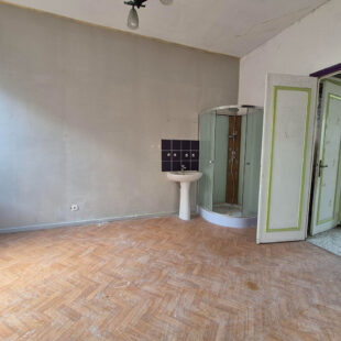 Maison Aniche 9 pièce(s) 247 m2
