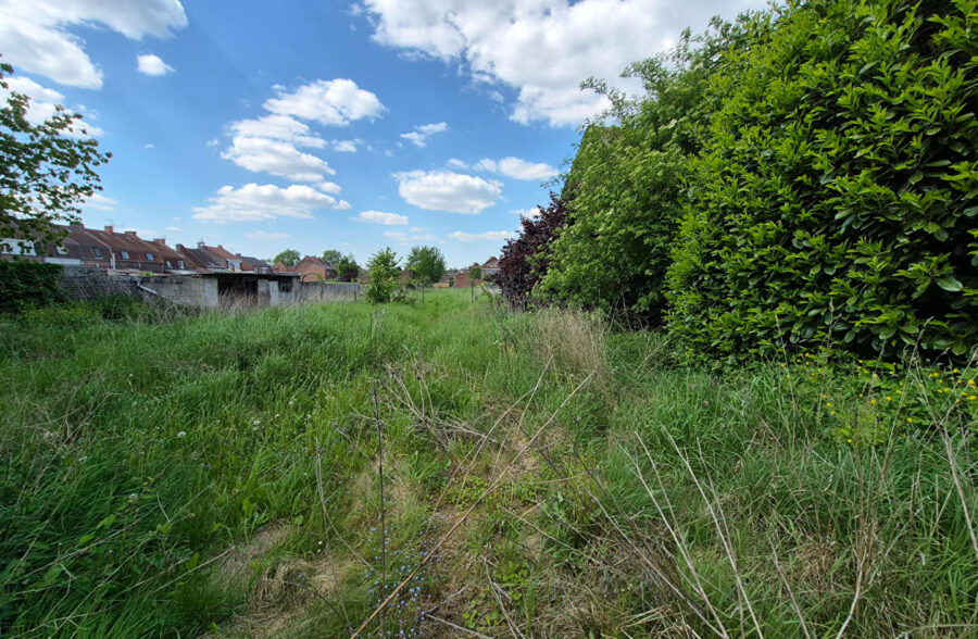 Maison Aniche 9 pièce(s) 247 m2