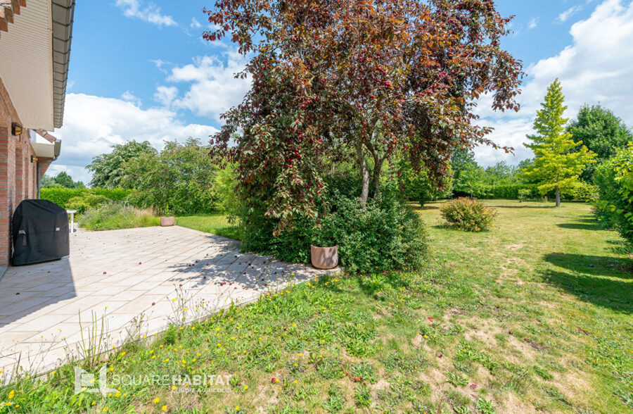 Maison individuelle semi plain pied Flines Lez Raches