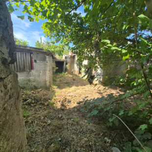 Maison Flers En Escrebieux 3 pièce(s) 55 m2