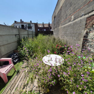 Maison de ville avec jardin