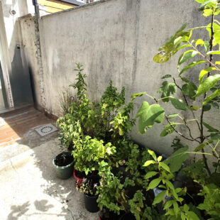 Maison Loos 128 m2
