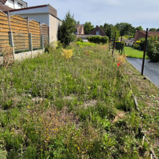 Maison type longère Plain pied avec jardin