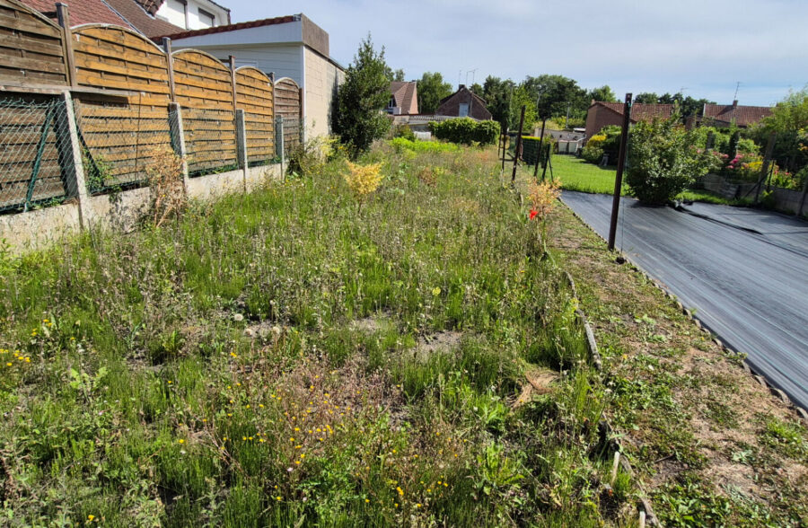Maison type longère Plain pied avec jardin