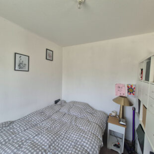 Appartement T2 bis en rez de jardin