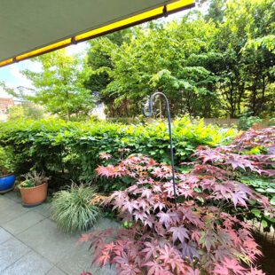 Appartement 3 chambres avec terrasse au coeur du centre-ville