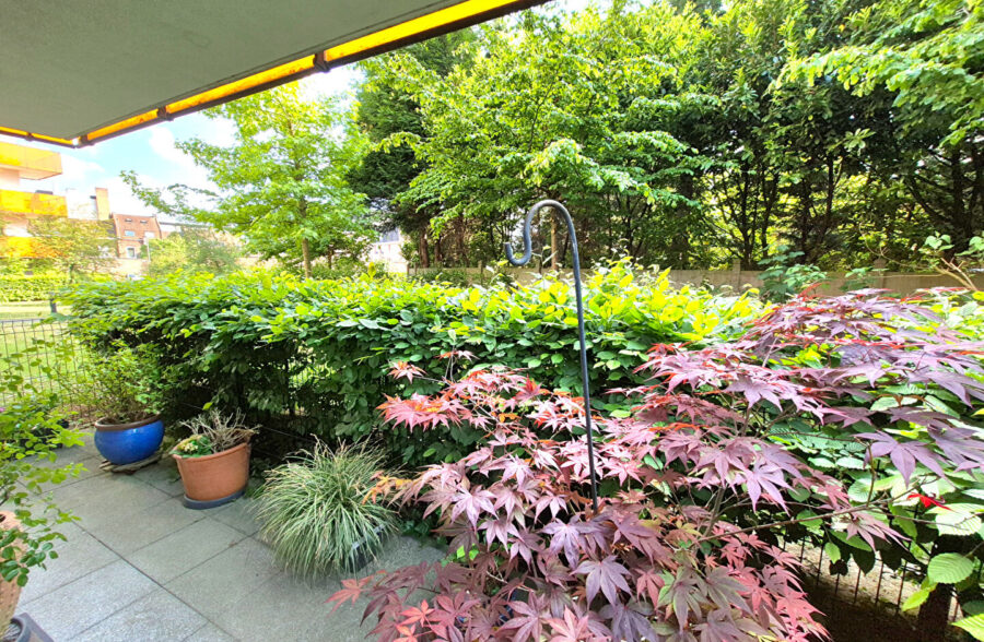 Appartement 3 chambres avec terrasse au coeur du centre-ville